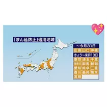 エミ （スタッフ）