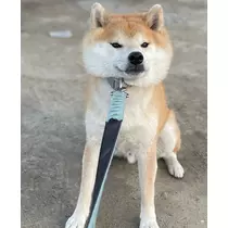 まこと