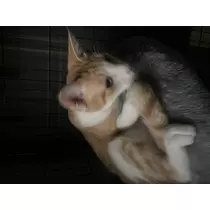 ゆう