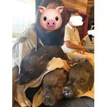 ゆうり