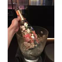 白石 愛莉