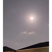 紫音