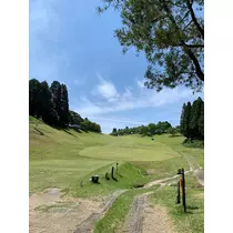 椿