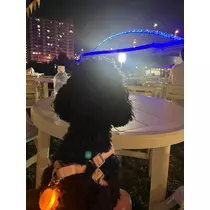 天乃 りさ