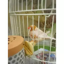 ちよママ