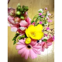 りえ