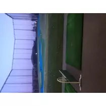 蓮見 リア
