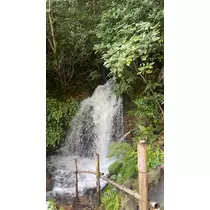 ちなつ