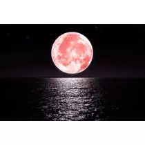 もも