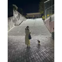 あいら