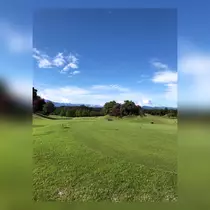 エリカ