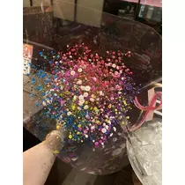 白石 愛莉