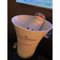 白石 愛莉