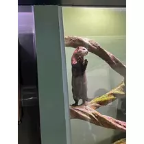 なつ
