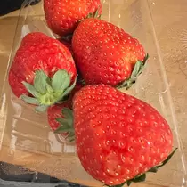 めい