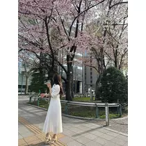 紬 むぎ