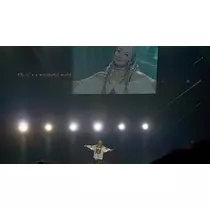 さや
