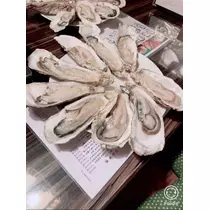 宝條 夏恋