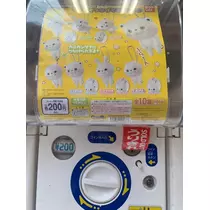 椿綺 楓