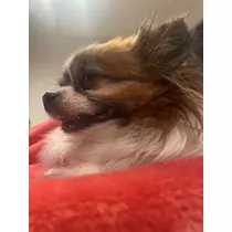 あいら
