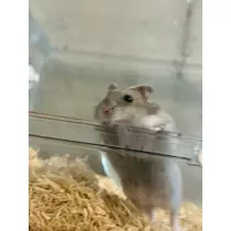 ゆな