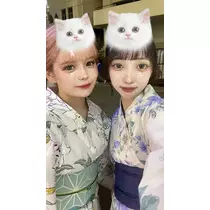 みーたん