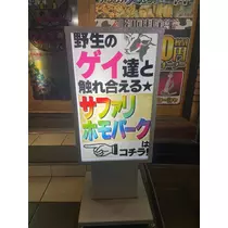 佐倉 里緒