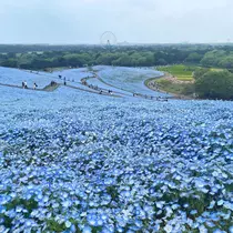 とも