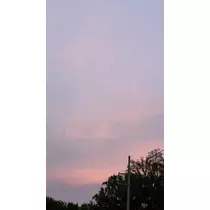 黒崎 茉凛