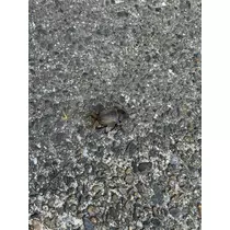 ちひろ