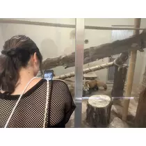 恋乃 百愛