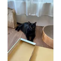 あいゆ