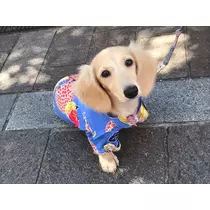 みき
