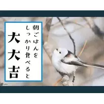 ひな