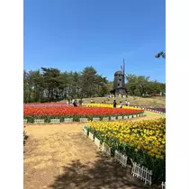 さな