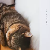 紫音