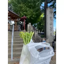 るい