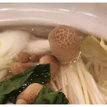 紫音