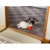 天月 あすな