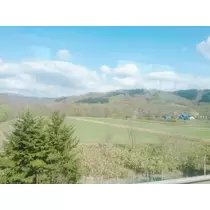 成海 まお
