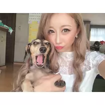 紗貴