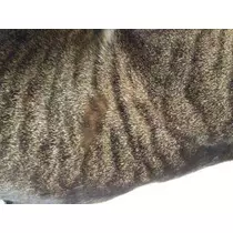 愛羽 仁美