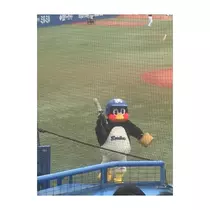 蓮