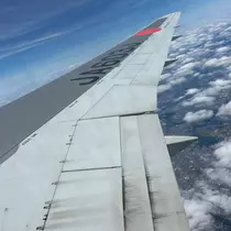 しずか