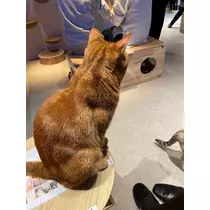 りん