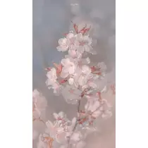 ろあ