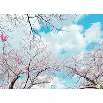りな