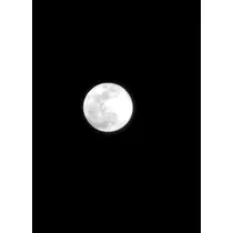 紫音