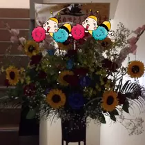 蓮