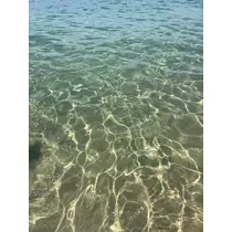 ナミ